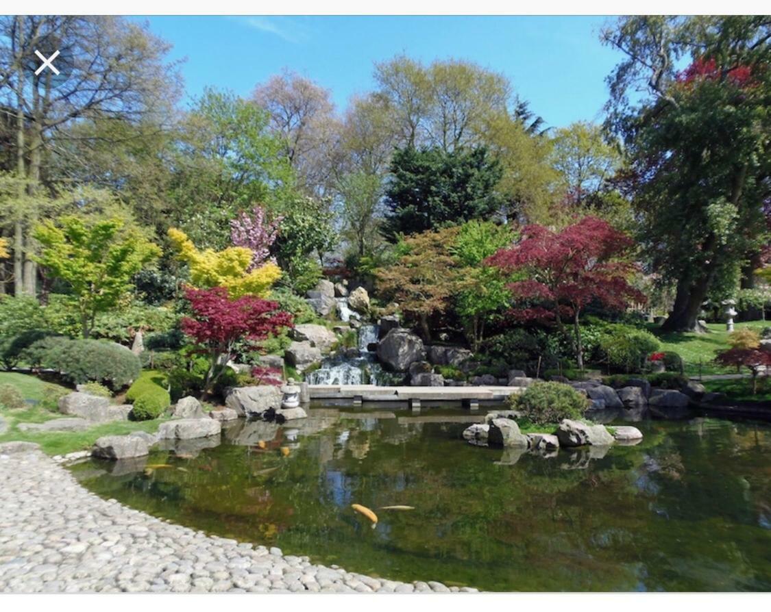 Holland Park Apartment لندن المظهر الخارجي الصورة
